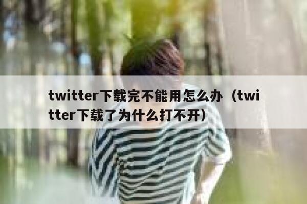 twitter下载完不能用怎么办（twitter下载了为什么打不开） 第1张