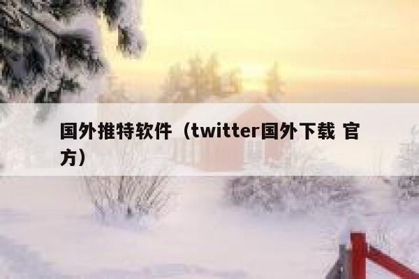 国外推特软件（twitter国外下载 官方） 第1张