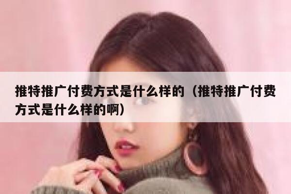 推特推广付费方式是什么样的（推特推广付费方式是什么样的啊） 第1张