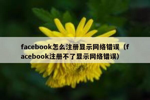 facebook怎么注册显示网络错误(facebook注册不了显示网络错误) 第1张 facebook怎么注册显示网络错误(facebook注册不了显示网络错误) 第1张
