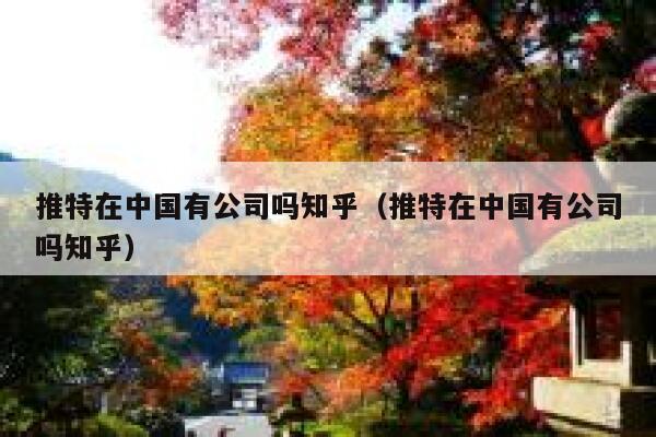 推特在中国有公司吗知乎（推特在中国有公司吗知乎） 第1张