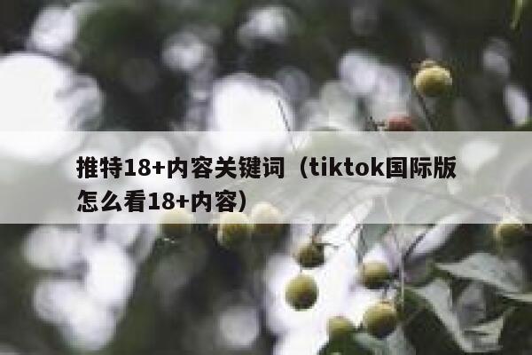 推特18+内容关键词（tiktok国际版怎么看18+内容） 第1张
