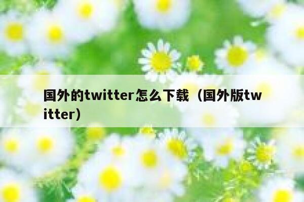 国外的twitter怎么下载（国外版twitter） 第1张