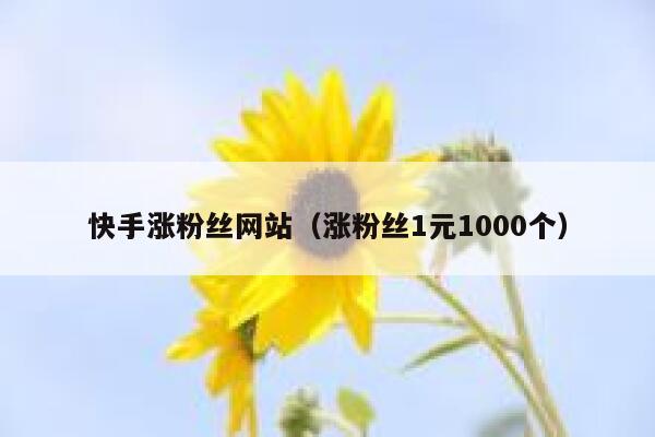 快手涨粉丝网站(涨粉丝1元1000个) 第1张 快手涨粉丝网站(涨粉丝1元1000个) 第1张