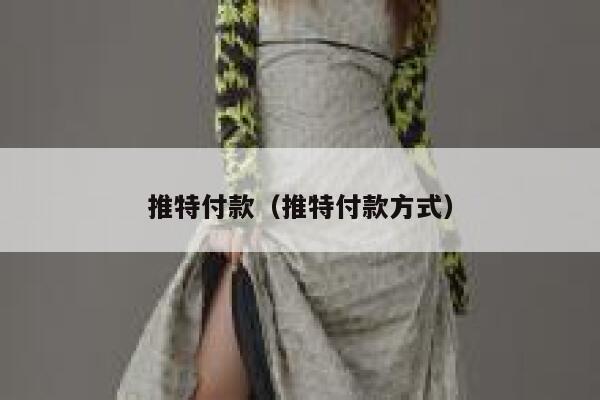 推特付款(推特付款方式) 第1张 推特付款(推特付款方式) 第1张