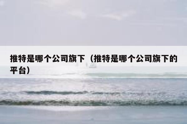 推特是哪个公司旗下（推特是哪个公司旗下的平台） 第1张
