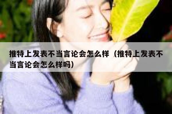 推特上发表不当言论会怎么样（推特上发表不当言论会怎么样吗） 第1张