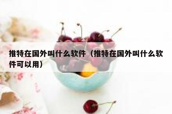 推特在国外叫什么软件（推特在国外叫什么软件可以用） 第1张