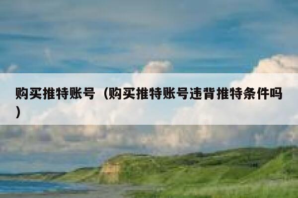 购买推特账号(购买推特账号违背推特条件吗) 第1张 购买推特账号(购买推特账号违背推特条件吗) 第1张