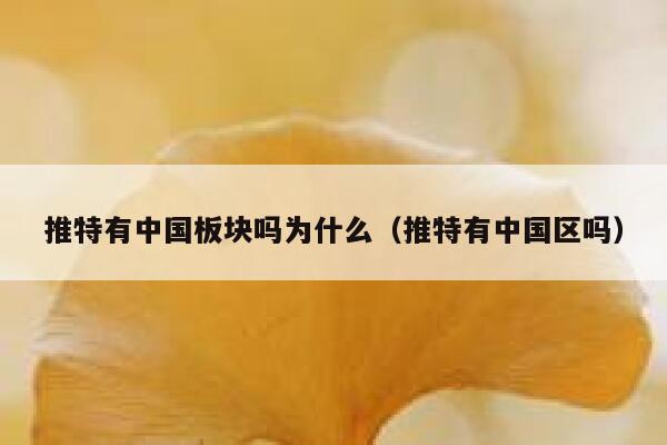 推特有中国板块吗为什么(推特有中国区吗) 第1张 推特有中国板块吗为什么(推特有中国区吗) 第1张