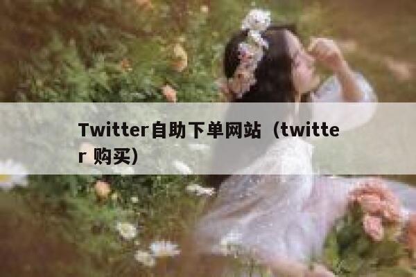 Twitter自助下单网站（twitter 购买） 第1张