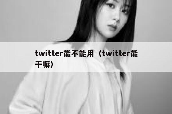 twitter能不能用(twitter能干嘛) 第1张 twitter能不能用(twitter能干嘛) 第1张