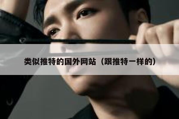 类似推特的国外网站（跟推特一样的） 第1张