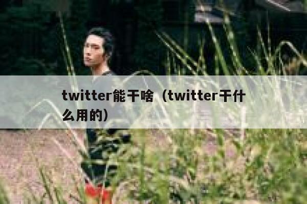 twitter能干啥（twitter干什么用的） 第1张