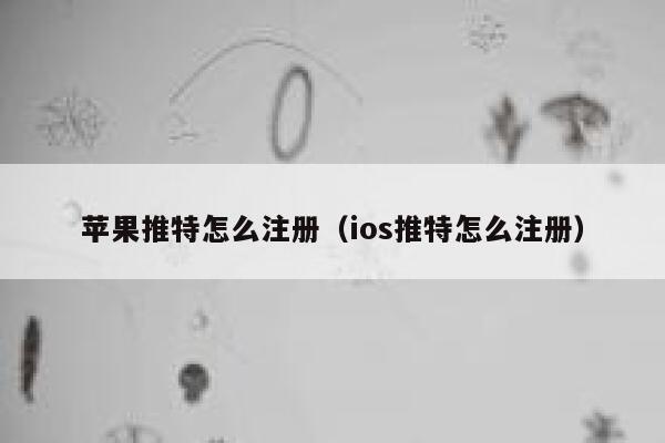 苹果推特怎么注册(ios推特怎么注册) 第1张 苹果推特怎么注册(ios推特怎么注册) 第1张