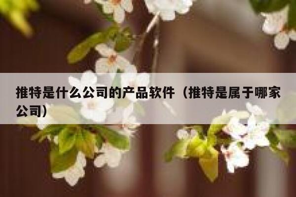推特是什么公司的产品软件(推特是属于哪家公司) 第1张 推特是什么公司的产品软件(推特是属于哪家公司) 第1张