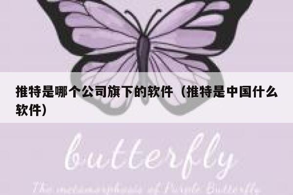 推特是哪个公司旗下的软件（推特是中国什么软件） 第1张