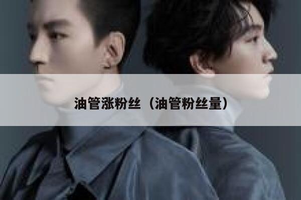 油管涨粉丝（油管粉丝量） 第1张