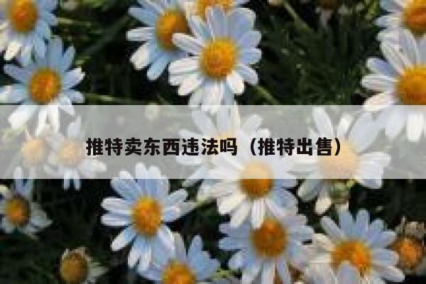推特卖东西违法吗(推特出售) 第1张 推特卖东西违法吗(推特出售) 第1张