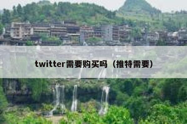 twitter需要购买吗(推特需要) 第1张 twitter需要购买吗(推特需要) 第1张