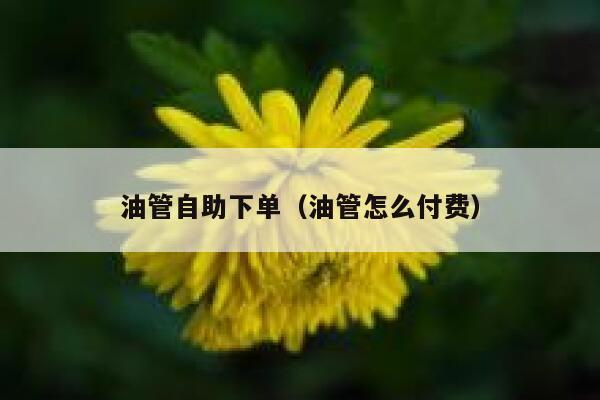 油管自助下单(油管怎么付费) 第1张 油管自助下单(油管怎么付费) 第1张