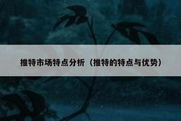 推特市场特点分析(推特的特点与优势) 第1张 推特市场特点分析(推特的特点与优势) 第1张