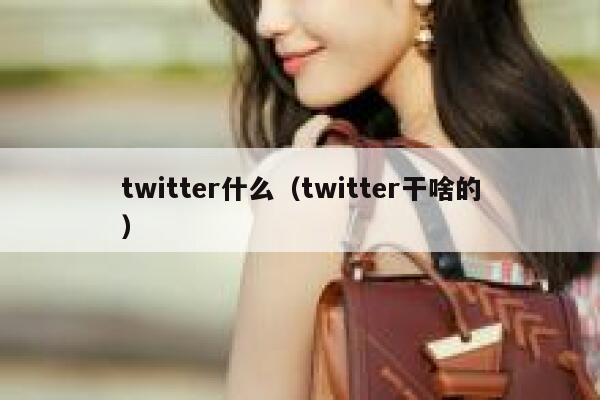 twitter什么(twitter干啥的) 第1张 twitter什么(twitter干啥的) 第1张