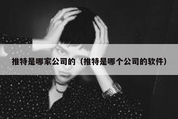 推特是哪家公司的（推特是哪个公司的软件） 第1张