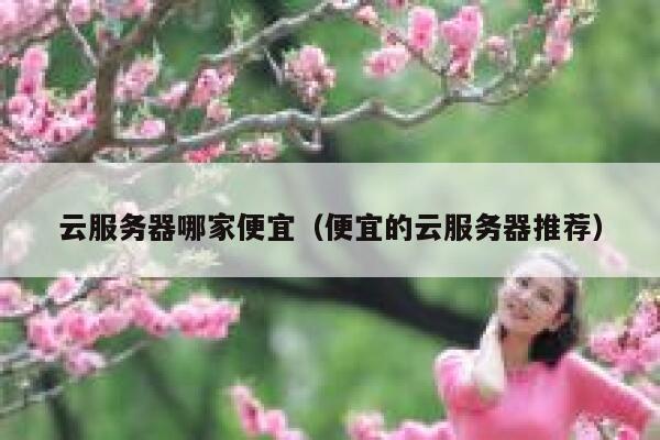 云服务器哪家便宜(便宜的云服务器推荐) 第1张 云服务器哪家便宜(便宜的云服务器推荐) 第1张