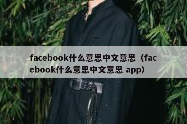 facebook什么意思中文意思(facebook什么意思中文意思 app) 第1张 facebook什么意思中文意思(facebook什么意思中文意思 app) 第1张