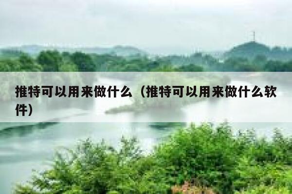 推特可以用来做什么（推特可以用来做什么软件） 第1张