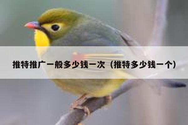 推特推广一般多少钱一次（推特多少钱一个） 第1张