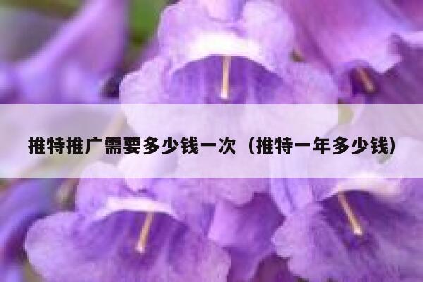 推特推广需要多少钱一次（推特一年多少钱） 第1张