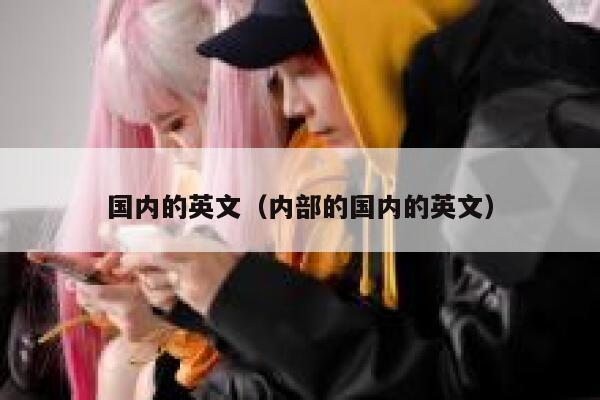 国内的英文（内部的国内的英文） 第1张