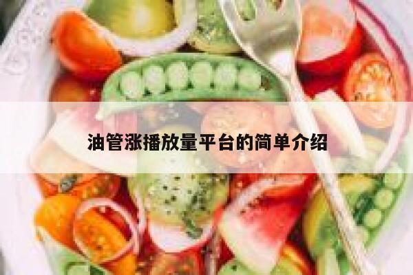 油管涨播放量平台的简单介绍 第1张 油管涨播放量平台的简单介绍 第1张