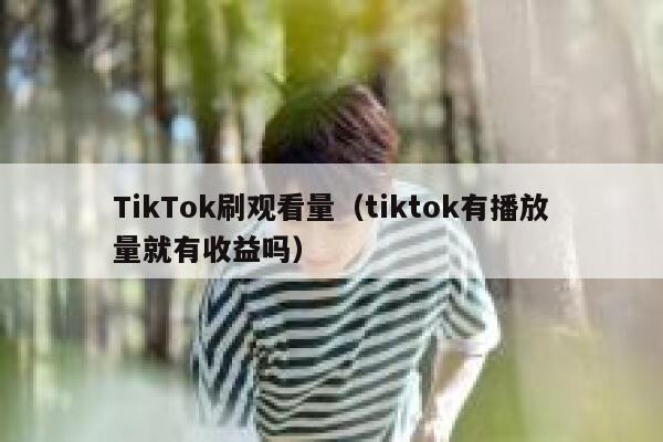 TikTok刷观看量(tiktok有播放量就有收益吗) 第1张 TikTok刷观看量(tiktok有播放量就有收益吗) 第1张