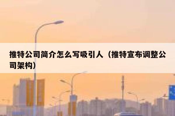 推特公司简介怎么写吸引人（推特宣布调整公司架构） 第1张