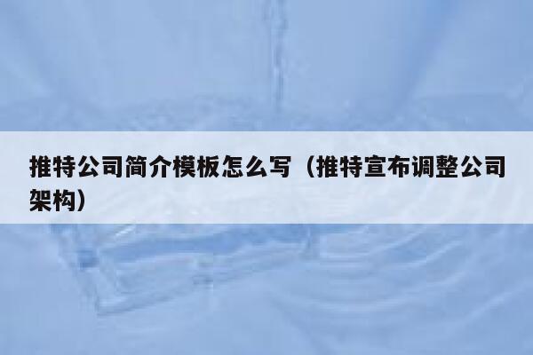 推特公司简介模板怎么写(推特宣布调整公司架构) 第1张 推特公司简介模板怎么写(推特宣布调整公司架构) 第1张