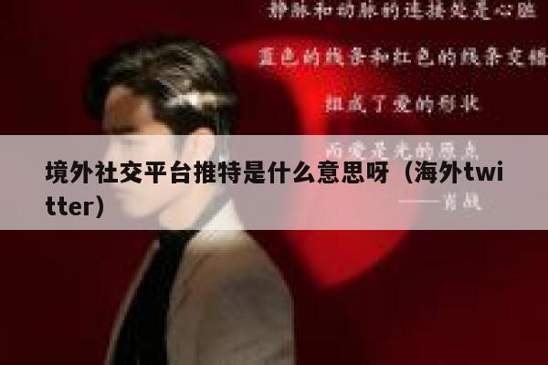 境外社交平台推特是什么意思呀(海外twitter) 第1张 境外社交平台推特是什么意思呀(海外twitter) 第1张