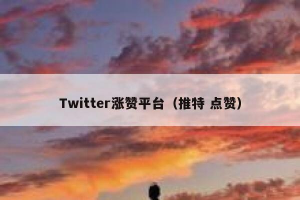 Twitter涨赞平台(推特 点赞) 第1张 Twitter涨赞平台(推特 点赞) 第1张