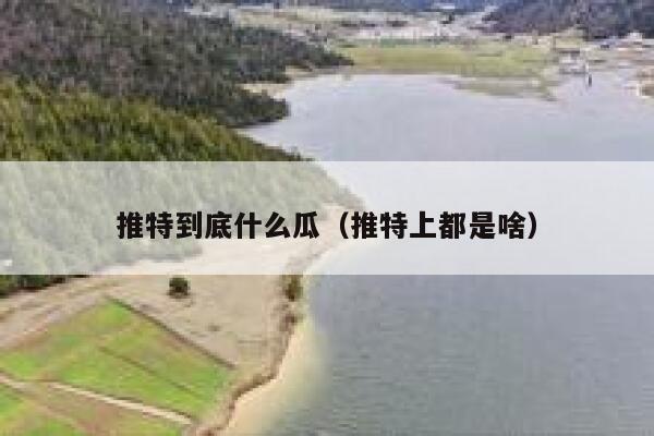 推特到底什么瓜(推特上都是啥) 第1张 推特到底什么瓜(推特上都是啥) 第1张