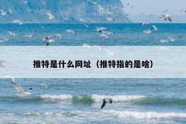 推特是什么网址(推特指的是啥) 第1张 推特是什么网址(推特指的是啥) 第1张