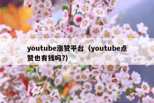youtube涨赞平台(youtube点赞也有钱吗?) 第1张 youtube涨赞平台(youtube点赞也有钱吗?) 第1张