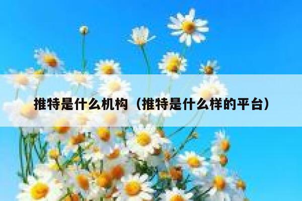 推特是什么机构（推特是什么样的平台） 第1张