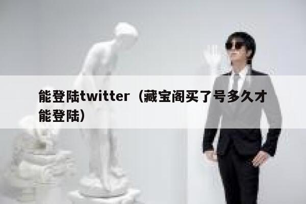 能登陆twitter(藏宝阁买了号多久才能登陆) 第1张 能登陆twitter(藏宝阁买了号多久才能登陆) 第1张