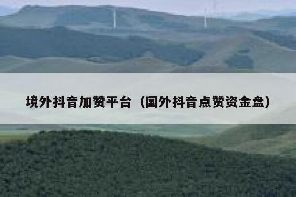 境外抖音加赞平台(国外抖音点赞资金盘) 第1张 境外抖音加赞平台(国外抖音点赞资金盘) 第1张