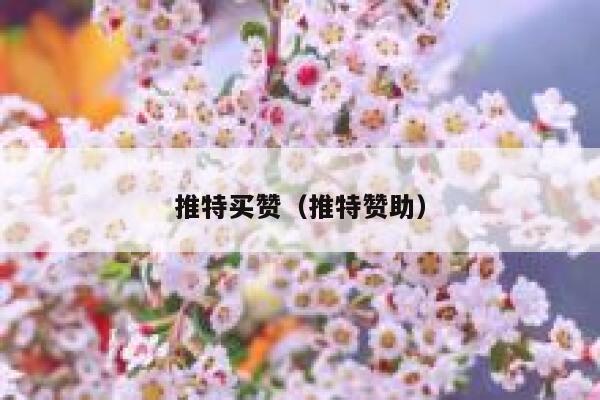 推特买赞(推特赞助) 第1张 推特买赞(推特赞助) 第1张