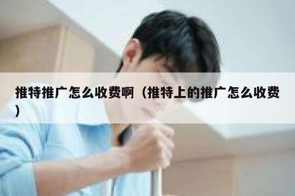 推特推广怎么收费啊(推特上的推广怎么收费) 第1张 推特推广怎么收费啊(推特上的推广怎么收费) 第1张