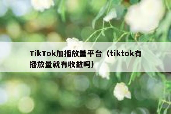TikTok加播放量平台(tiktok有播放量就有收益吗) 第1张 TikTok加播放量平台(tiktok有播放量就有收益吗) 第1张