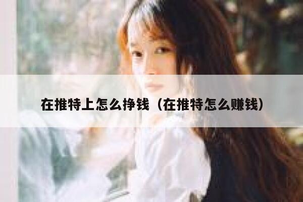 在推特上怎么挣钱（在推特怎么赚钱） 第1张